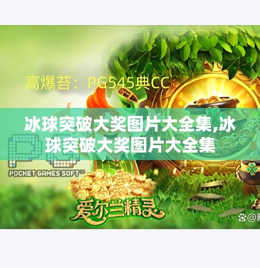 冰球突破大奖图片大全集,冰球突破大奖图片大全集