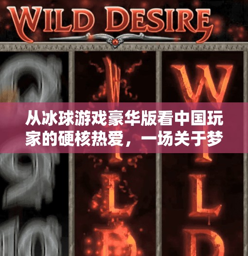 从冰球游戏豪华版看中国玩家的硬核热爱，一场关于梦想与坚持的全民狂欢,突破冰球游戏豪华版