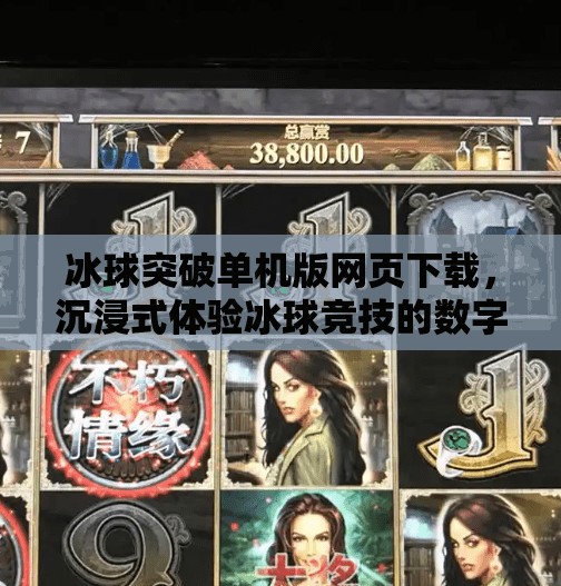 冰球突破单机版网页下载，沉浸式体验冰球竞技的数字盛宴,冰球突破单机版网页下载