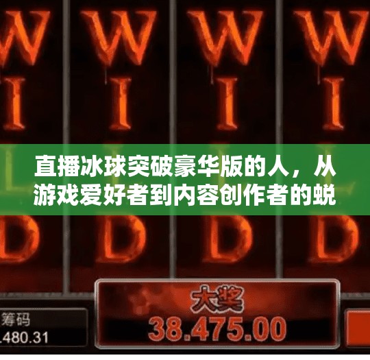 直播冰球突破豪华版的人，从游戏爱好者到内容创作者的蜕变之路,直播冰球突破豪华版的人